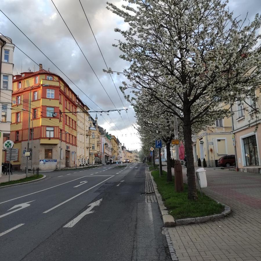 Apartman Friedrichsruh Lägenhet Mariánské Lázně Exteriör bild