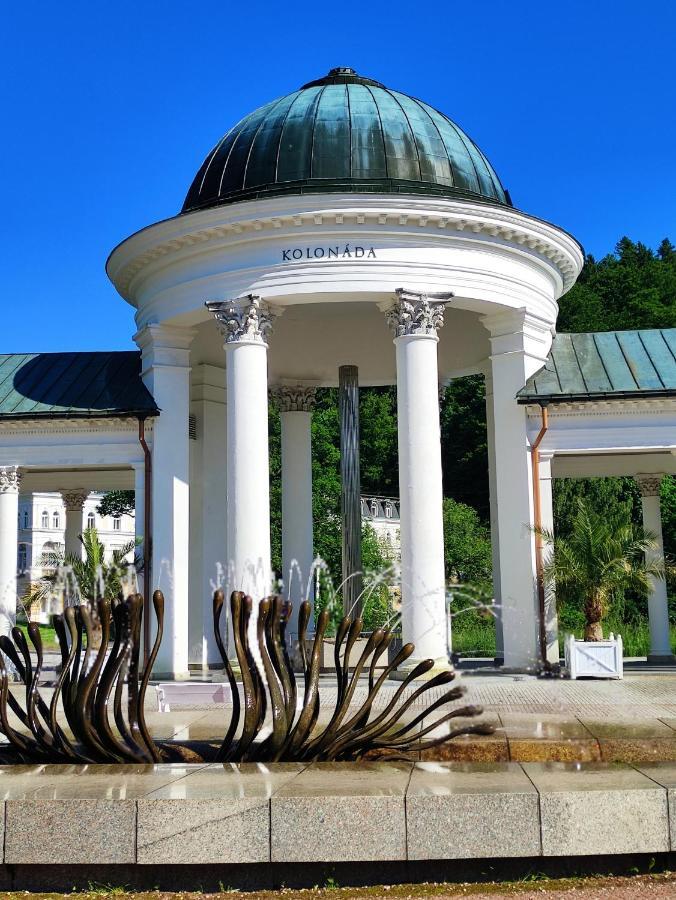 Apartman Friedrichsruh Lägenhet Mariánské Lázně Exteriör bild